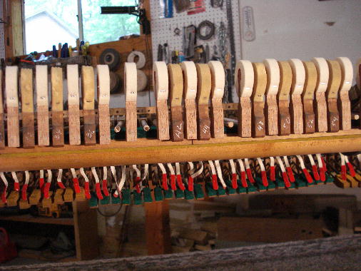 16 - Odd-numbered new hammer heads installed with hide glue.